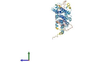 AlphaFold protein structure predicition of Human Recombinant TMEM184C Protein, UniprotID Q9NVA4