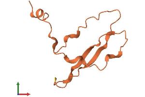 Protein Structure (PS) image for Small Proline Rich Protein 2A (SPRR2A) (AA 1-83) protein (Fc Tag) (ABIN7560553)