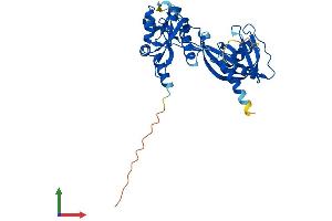 Protein Structure (PS) image for Nudix (Nucleoside Diphosphate Linked Moiety X)-Type Motif 13 (NUDT13) (AA 1-352) protein (His tag) (ABIN7559405)