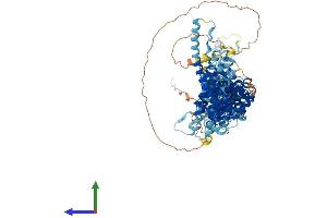 Protein Structure (PS) image for Nucleoporin 107kDa (NUP107) (AA 1-926) protein (His tag) (ABIN7564352)