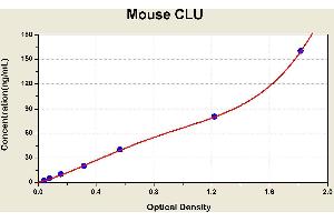 Diagramm of the ELISA kit to detect Mouse CLUwith the optical density on the x-axis and the concentration on the y-axis. (Clusterin ELISA 试剂盒)