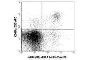 Flow Cytometry (FACS) image for anti-Natural Killer Cell Receptor 2B4 (CD244) antibody (Biotin) (ABIN2660830) (2B4 抗体  (Biotin))