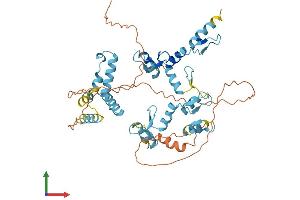 Protein Structure (PS) image for Zinc Finger Protein 187 (ZNF187) (AA 1-478) protein (His tag) (ABIN7545707)