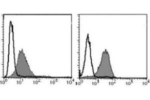 Flow Cytometry (FACS) image for anti-Intercellular Adhesion Molecule 3 (ICAM3) antibody (ABIN1449265) (ICAM-3/CD50 抗体)