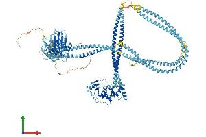 Protein Structure (PS) image for SMC6 Structural Maintenance of Chromosomes 6-Like 1 (SMC6) (AA 1-1091) protein (His tag) (ABIN7555555)