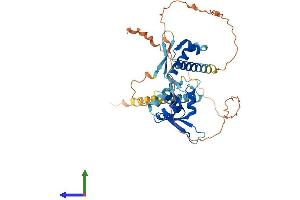 Protein Structure (PS) image for Melanoma Antigen Family C, 2 (MAGEC2) (AA 1-373) protein (His tag) (ABIN7549227)