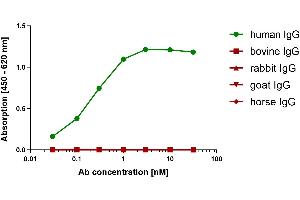 Different species IgG were coated on an ELISA plate at 100 ng. (Recombinant 小鼠 anti-人 IgG (Fc Region) Antibody)