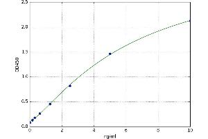 A typical standard curve (SESN3 ELISA 试剂盒)