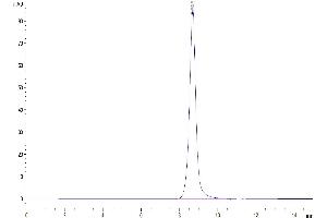 The purity of Mouse DDR1 is greater than 95 % as determined by SEC-HPLC.