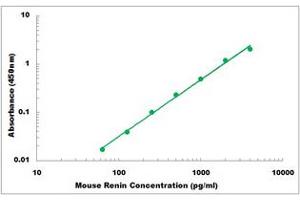 Representative Standard Curve (Renin ELISA 试剂盒)
