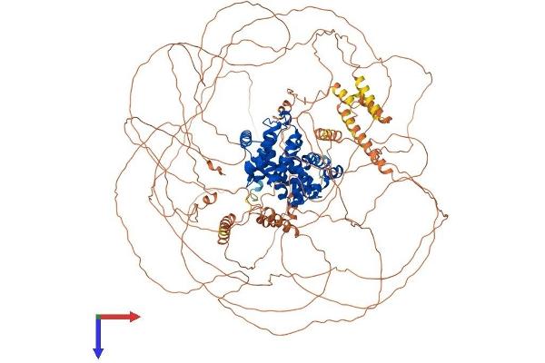 Cyclin B3 Protein (CCNB3) (AA 1-1396) (His tag)
