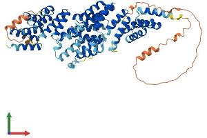 Protein Structure (PS) image for Cell Division Cycle 16 Homolog (S. Cerevisiae) (CDC16) (AA 1-620) protein (His tag) (ABIN7553158)