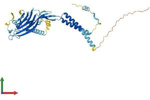 Protein Structure (PS) image for ERGIC and Golgi 2 (ERGIC2) (AA 1-377) protein (His tag) (ABIN7547387)