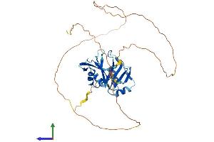AlphaFold protein structure predicition of Mouse Recombinant Msi1 Protein, UniprotID Q61474