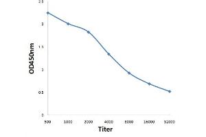 Antigen: 0. (C9ORF72 抗体  (AA 391-481))