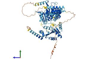 AlphaFold protein structure predicition of Human Recombinant DDX53 Protein, UniprotID Q86TM3