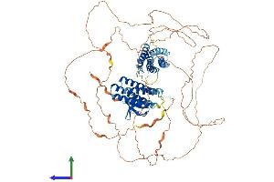 AlphaFold protein structure predicition of Mouse Recombinant Cass4 Protein, UniprotID Q08EC4