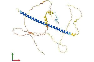 Protein Structure (PS) image for Activating Transcription Factor 4 (Tax-Responsive Enhancer Element B67) (ATF4) (AA 1-351) protein (His tag) (ABIN7552516)