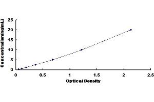 Typical Standard Curve for Human TIC2 ELISA. (SPOCK2/Testican 2 ELISA 试剂盒)