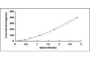 ELISA image for Lymphotoxin-alpha (LTA) ELISA Kit (ABIN415538)
