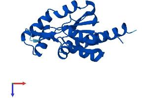 TAF9 Protein (AA 1-172) (His tag)