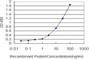 Detection limit for recombinant GST tagged CCNK is approximately 0. (Cyclin K 抗体  (AA 1-354))