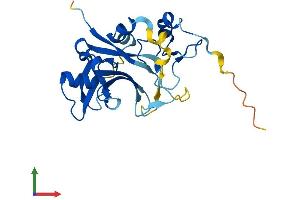 Protein Structure (PS) image for Zinc Finger, MYND-Type Containing 19 (ZMYND19) (AA 1-227) protein (His tag) (ABIN7545783)