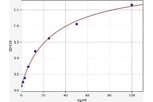 Typical standard curve (HDLBP ELISA 试剂盒)