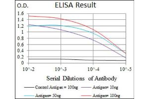 Red: Control Antigen (100ng) ; Purple: Antigen (10ng) ; Green: Antigen (50ng) ; Blue: Antigen (100ng). (ENO2/NSE 抗体  (AA 251-433))