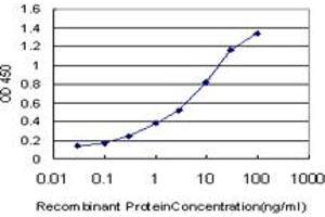 Detection limit for recombinant GST tagged CCL15 is approximately 0. (CCL15 抗体  (AA 25-113))