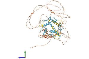 Protein Structure (PS) image for Zinc Finger Protein 131 (ZNF131) (AA 1-623) protein (His tag) (ABIN7545304)