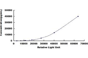 ELISA image for Nephrosis 1, Congenital, Finnish Type (Nephrin) (NPHS1) CLIA Kit (ABIN492219)