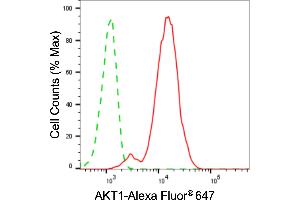 Flow cytometric analysis of AKT1 expression in C2C12 cells using AKT1 antibody (ABIN7800778), 1:2,000).