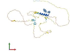 Protein Structure (PS) image for Developing Brain Homeobox 1 (DBX1) (AA 1-335) protein (His tag) (ABIN7563426)