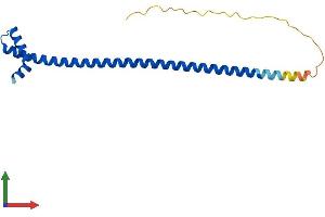 Protein Structure (PS) image for DPY30 Domain Containing 1 (DYDC1) (AA 1-177) protein (His tag) (ABIN7547281)