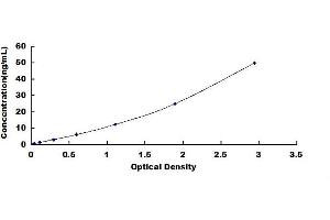 Typical standard curve