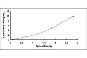 ELISA image for Sulfotransferase Family, Cytosolic, 1A, Phenol-Preferring, Member 1 (SULT1A1) ELISA Kit (ABIN418577)
