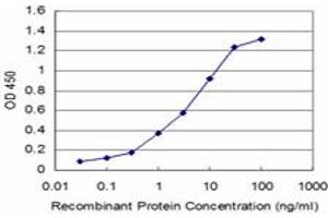 Detection limit for recombinant GST tagged NEUROG3 is approximately 0. (Neurogenin 3 抗体  (AA 1-101))