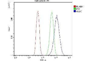 Flow Cytometry analysis of CACO-2 cells using anti-Glycine decarboxylase/GLDC antibody (ABIN7602073). (GLDC 抗体  (AA 574-1020))