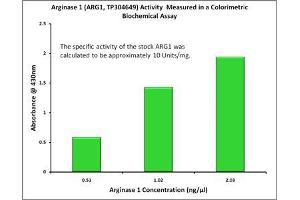 Bioactivity measured with Activity Assay (Liver Arginase Protein (Myc-DYKDDDDK Tag))