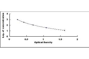 Typical standard curve