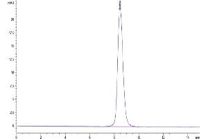 The purity of Mouse CD200 R1 is greater than 95 % as determined by SEC-HPLC.