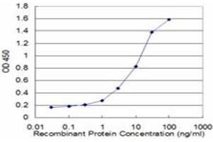 Detection limit for recombinant GST tagged MFGE8 is approximately 0. (MFGE8 抗体  (AA 61-170))