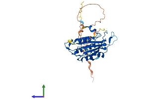 Protein Structure (PS) image for BRISC and BRCA1 A Complex Member 1 (BABAM1) (AA 1-329) protein (His tag) (ABIN7552631)