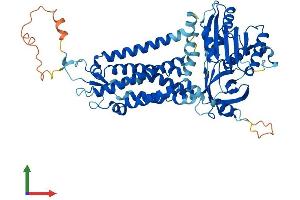 Protein Structure (PS) image for NADPH Oxidase 4 (NOX4) (AA 1-578) protein (His tag) (ABIN7561506)