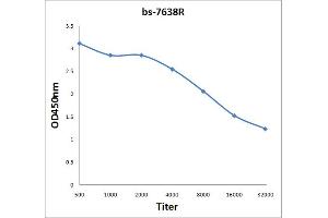 Antigen: 2 µg/100 µL  Primary: Antiserum, 1:500, 1:1000, 1:2000, 1:4000, 1:8000, 1:16000, 1:32000;  Secondary: HRP conjugated Rabbit Anti-Goat IgG at 1: 5000;  TMB staining Read the data in Microplate Reader by 450nm. (RHCG 抗体  (AA 50-150))
