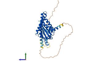 Protein Structure (PS) image for N-terminal EF-Hand Calcium Binding Protein 1 (NECAB1) (AA 1-352) protein (His tag) (ABIN7558518)
