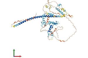 Protein Structure (PS) image for Zinc Finger Protein 398 (ZNF398) (AA 1-642) protein (His tag) (ABIN7545322)