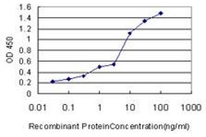 Detection limit for recombinant GST tagged PRKCD is approximately 0. (PKC delta 抗体  (AA 577-676))