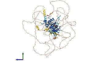 Protein Structure (PS) image for rho GTPase Activating Protein 6 (ARHGAP6) (AA 1-987) protein (His tag) (ABIN7562428)